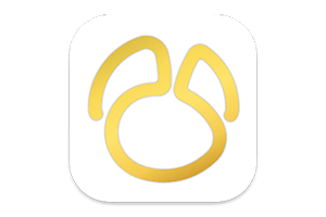 Navicat Premium for Mac(专业的数据库管理工具)v17.0.9中文汉化版