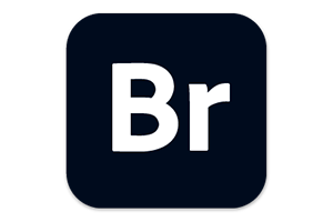 Adobe Bridge 2024 for win(BR 2024)v14.1.0中文直装版