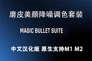 Mac版AE/PR中文汉化Magic Bullet v2024.3.0 Looks/Colorista IV/Denoiser III/Mojo II/Cosmo II/Renoiser/Film支持 M1 M2 M3