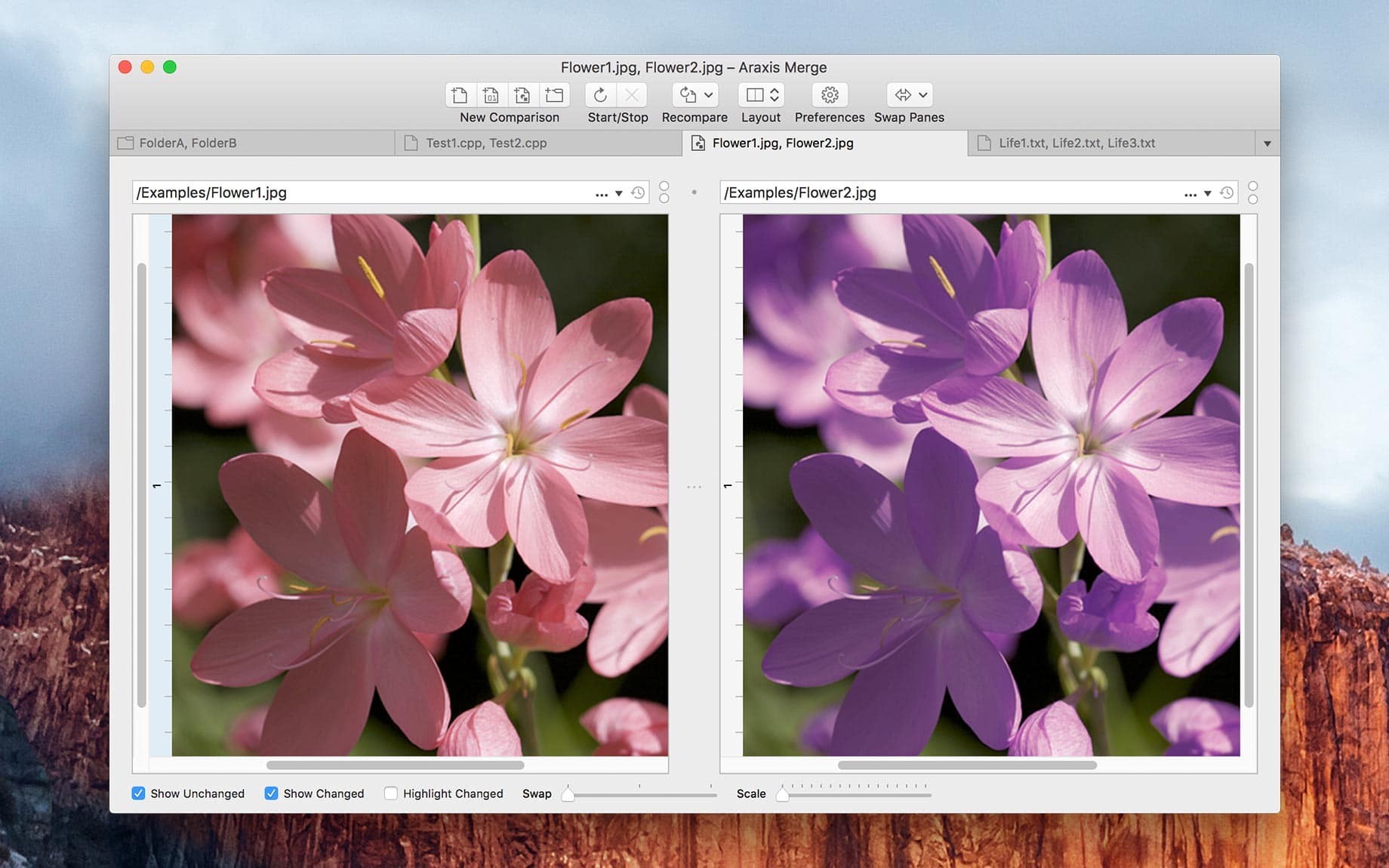 Araxis Merge pro for mac(文件对比合并同步工具)v2023.5849直装版