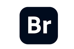 Adobe Bridge 2020 for win v10.1.1(Br 2020)中文直装版