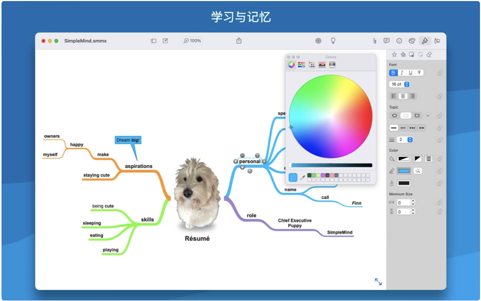1675669205-7544ccb1ba7d253.png simplemind Pro for Mac(思维导图)v2.1.2中文版