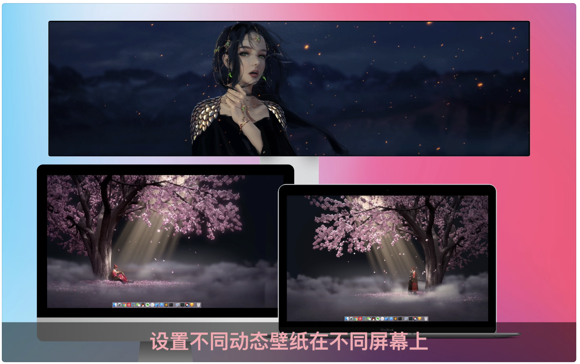 1669292322-85fc7f523987508.png Live Wallpaper & Themes 4K Pro for mac(花見超高清4K动态壁纸)v17.2中文版