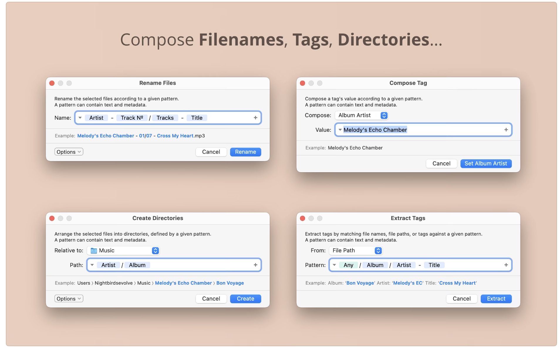 Meta for Mac(音频编辑工具)v2.1.6直装版
