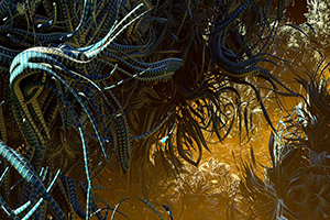 Arnold for Cinema 4D for mac(C4D R26阿诺德渲染器)v4.2.3