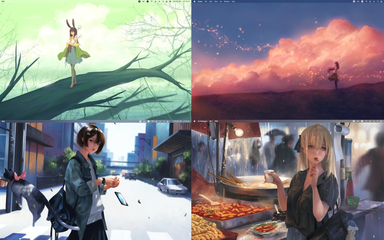 4K Wallpaper for Mac(4K高清壁纸软件)v2.5中文版