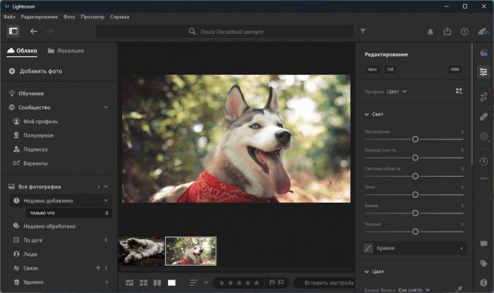 Adobe Photoshop Lightroom 2024 for win v7.3 Lr2024 照片管理编辑软件 中文下载